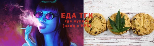 ECSTASY Алзамай