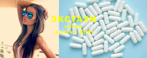 ECSTASY Алзамай