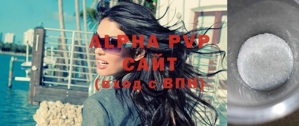 хмурый Абаза