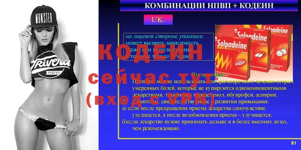 ECSTASY Алзамай