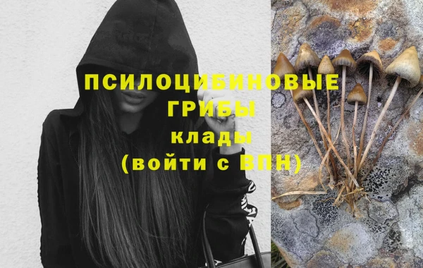 ECSTASY Алзамай